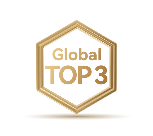 Global Top 3 Hybrid inverter Supplier
