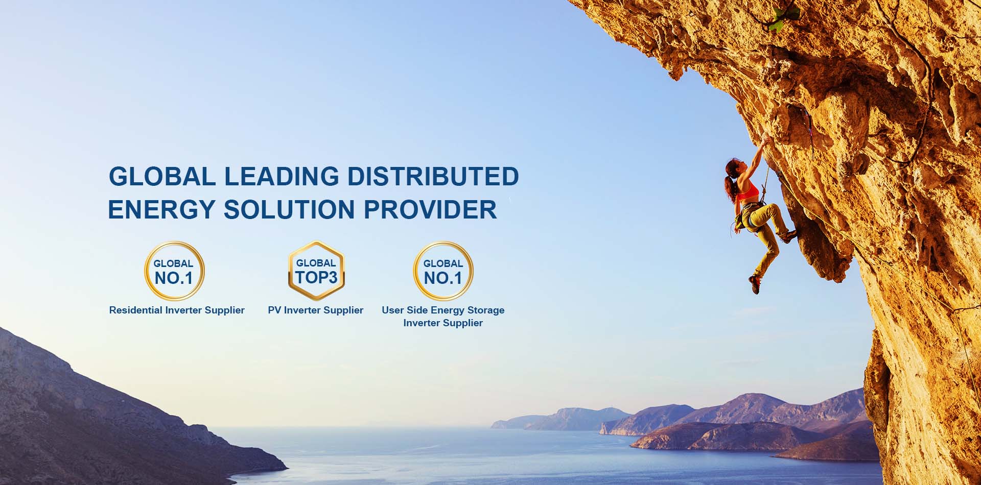Global Leading distributed energy solution provider.jpg